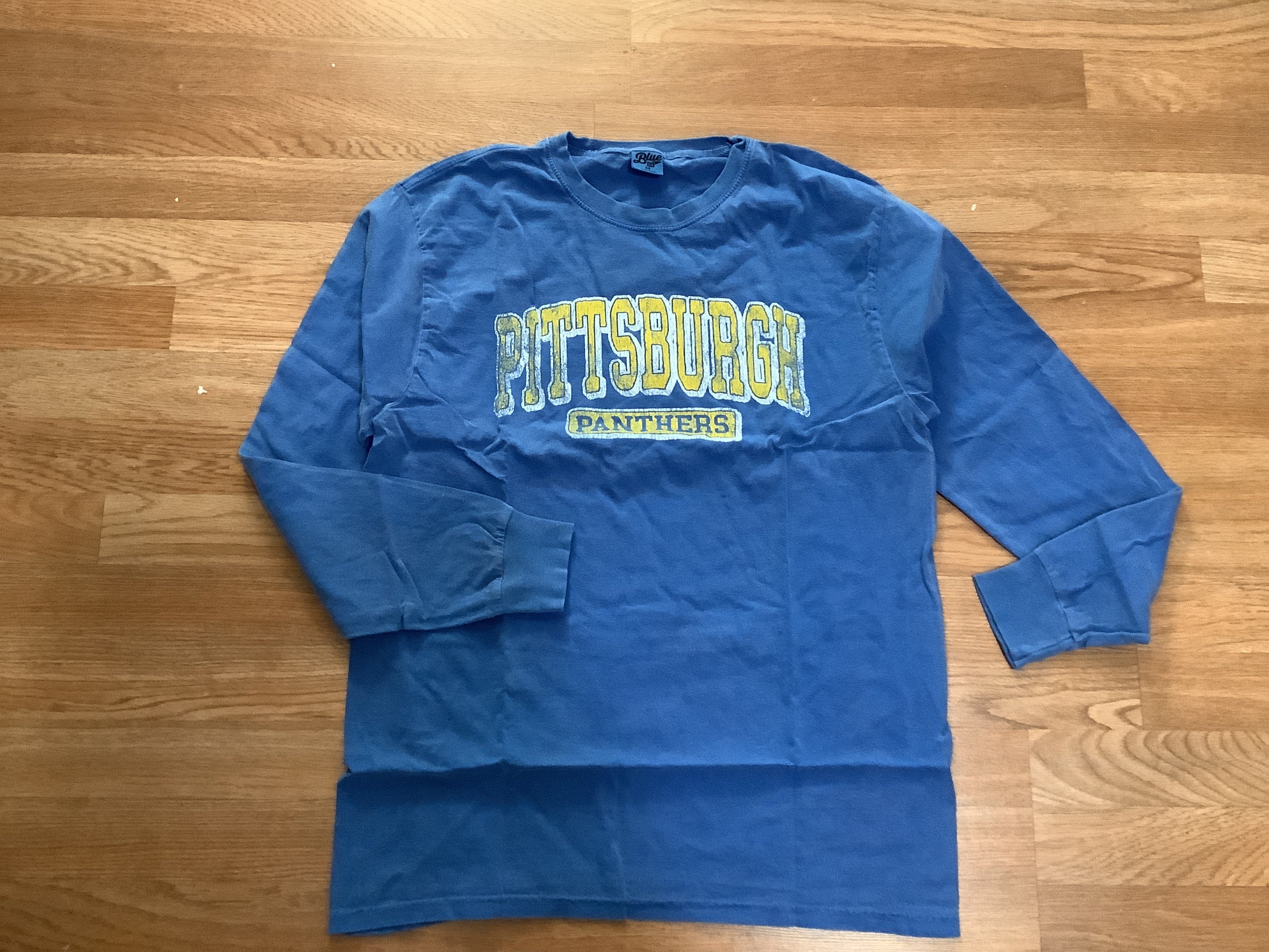 Pittsburgh panthers