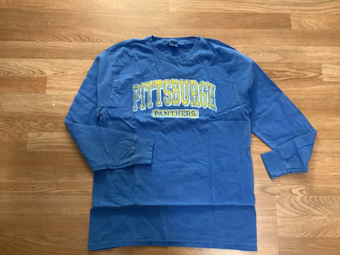 Pittsburgh panthers