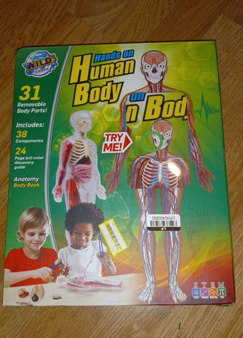 Human body anatomy model kit