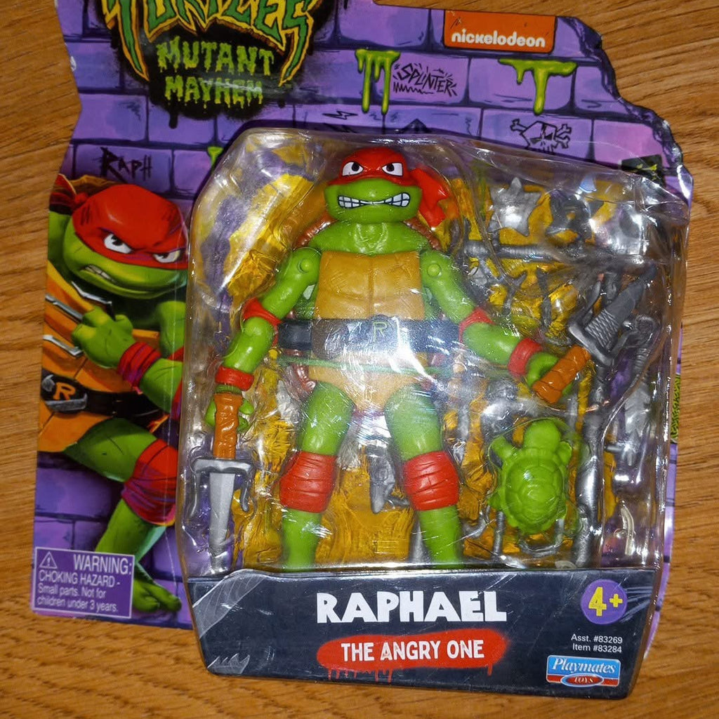 Teenage mutant ninja turtles