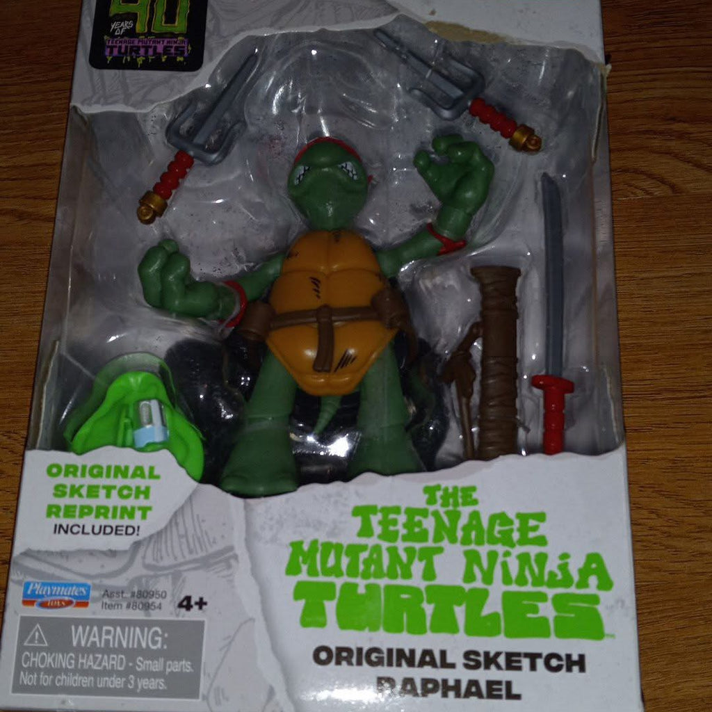 The teenage mutant ninja turtles Rafael