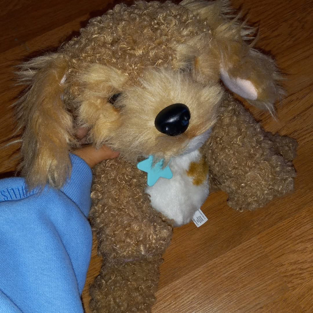 Dog stuffed animal
