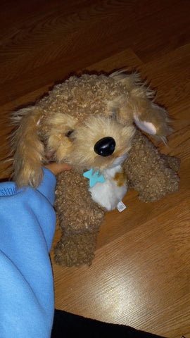 Dog stuffed animal