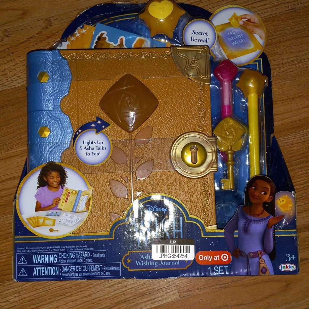 Wish journaling Disney