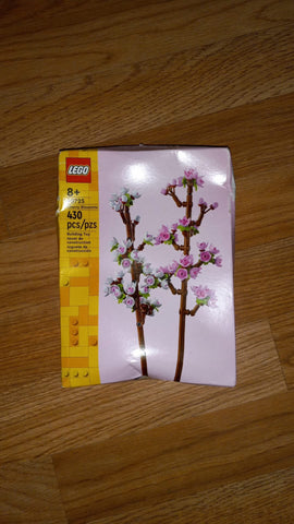 Cherry blossoms